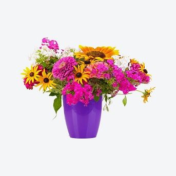 Flower Pot-6